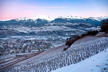 Le vignoble valaisan en hiver