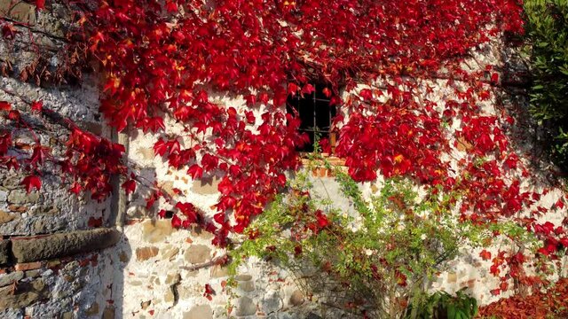 Autumn in the hills. Village and vineyards with an ancient flavor