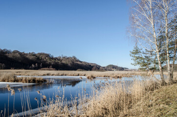 Winter lake with ice and frost in the reeds.