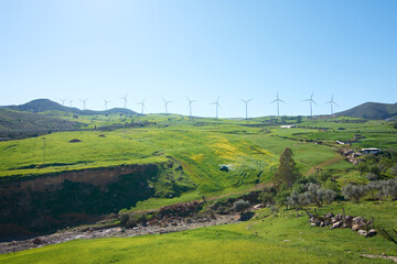 Obraz premium A scenic view of a field with a lot of windmills on a sunny day, Ardales, Malaga, Spain