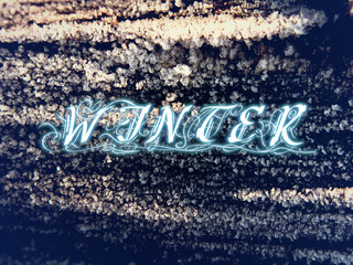 WINTER2