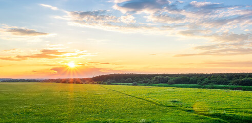 Amazing view at beautiful summer golden wheaten field with beautiful sunny sky on background, rows leading far away, valley landscape