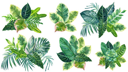 set of tropical palm leaves on isolated white, watercolor drawing, botanical painting, exotic flora - obrazy, fototapety, plakaty