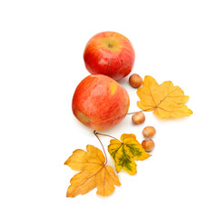 Autumn apples,hazelnuts and leaves isolated on white background.