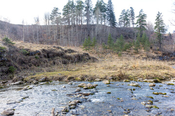 autumn morning, walking along the bed of a mountain river that has become shallow by the beginning...