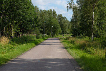 Looking down a bicycle road in summer..