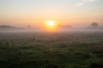 Sunrise over Staffordshire Moorlands 