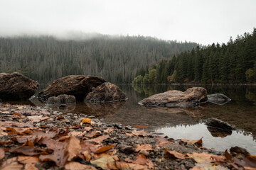 Black lake at autumn, the largest glacial lake in Czech republic, Sumava national park