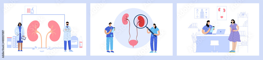 Wall mural kidney medical set