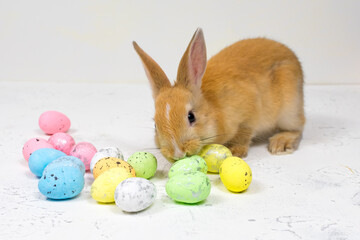 Redhead easter bunny with colorful eggs on white background. Festive concept. Place for an inscription.