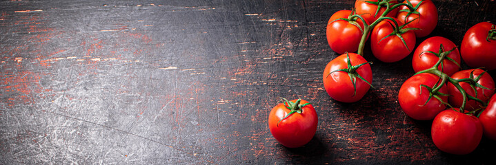 Fototapeta Fresh fragrant tomatoes on a branch. Against a dark background. High quality photo obraz