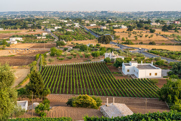 Obraz premium Panoramic view from Locorotondo, Bari Province, Apulia (Puglia), southern Italy.