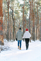 Fototapeta na wymiar Guy and girl hold hands and walk in snowy park. Back view. Young couple walks in winter through the forest. Vertical frame