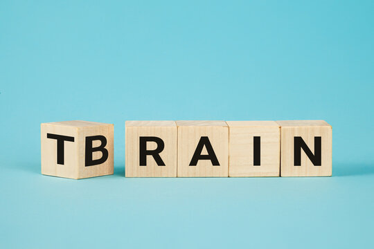 Train Your Brain. Turns a cube and changes the word 'train' to 'brain' on wooden cubes. Dice form the words train and brain. Business and train your brain concept.