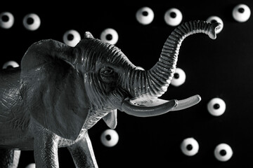 Elephant In the Room