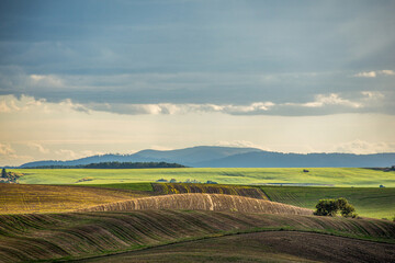Fototapeta na wymiar landscape with fields, sky, and mountains, autumn, Turiec, Slovakia, Europe