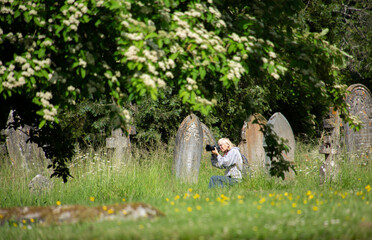 Fototapeta premium woman photographer at cemetery with green grass and flowers.