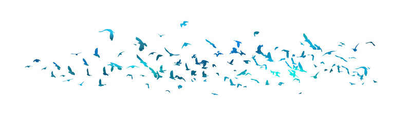 A flock of blue birds. Vector illustration