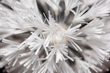 Wafer Paper Dandelion Flower. Waffle paper decor. Sugar floristry. Rice paper puffs. Wafer paper...