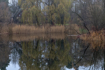 reflections of trees in calm river water	