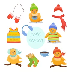 Fotobehang The set of cute birds in cold season with hat, scarf, earmuffs, coffee, socks, mittens. © Anna
