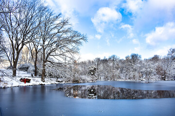 Central Park winter snowfall