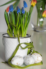 Happy easter. wielkanoc, fioletowe szafirki w białej doniczce i jajka, Muscari, , flowering common...