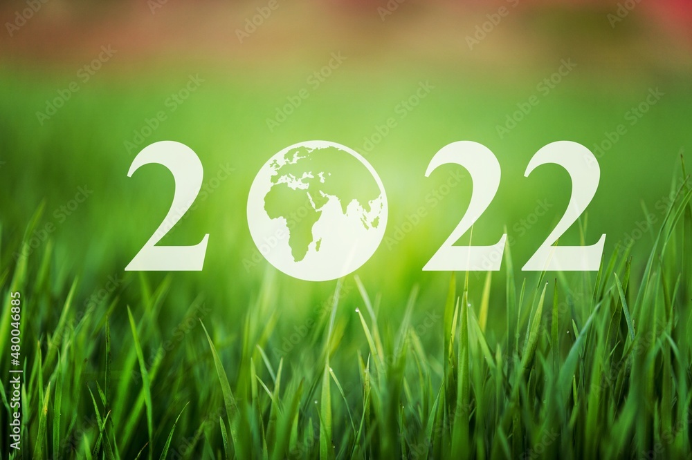 Canvas Prints 2022 text on a green grass field, Happy new year  business target and ecological concept.