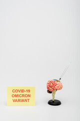 card with covid-19 omicron variant lettering near brain model with syringe on grey background.