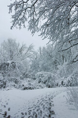 Winter landscape of South Park in city of Sofia, Bulgaria