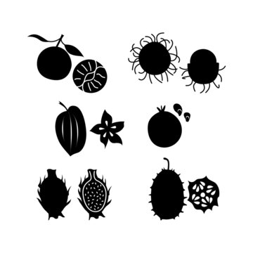 Black silhouettes on a white background, various exotis fruits. Vector illustration.