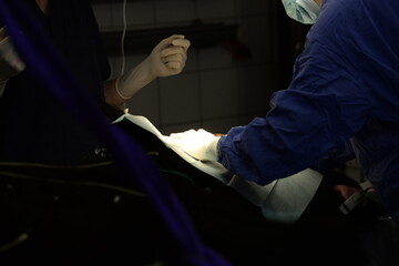 Im Operationssaal der Pferdeklinik.Deteils einer Operation eines Pferdes