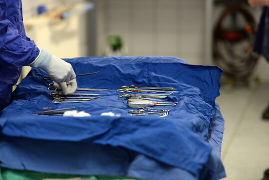 Im Operationssaal der Pferdeklinik.Deteils einer Operation eines Pferdes