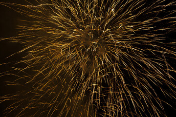 fireworks display lights up the sky during celebration