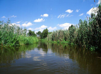 Narew river, water trail, Narew National Park, Poland
