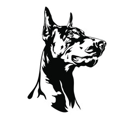 Black and White Doberman Pinscher Dog. Vector illustration. - obrazy, fototapety, plakaty