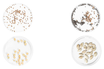 Micro greens seeds in petri dishes on white background. Copy space.