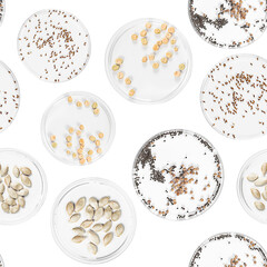 Seamless pattern with micro greens seeds in petri dishes on white background. 