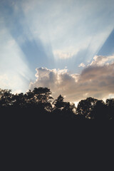 Spring Sunset Sun Rays