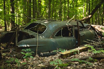 Broken Down Car Woods