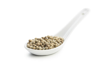 Whole pepper spice. White peppercorn grain in ceramic spoon