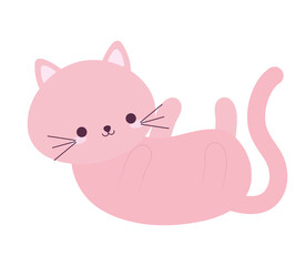 cute pink cat