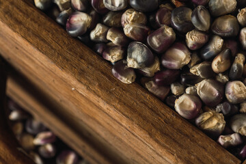 Typical Mexican blue corn on a wooden panel, a traditional measure in Central and South America to calculate the grains.