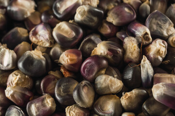 Detail of Mexican blue corn, the grains are distinguished and underneath in the background a stone.
