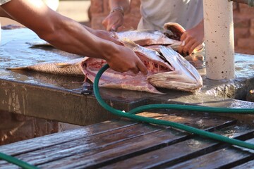 Cleaning and gutting are essential skills if you want to prepare a whole fish for a meal. Since you...