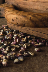 Typical Mexican blue corn on a wooden panel, a traditional measure in Central and South America to calculate the grains.