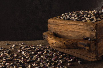 Typical Mexican blue corn on a wooden panel, a traditional measure in Central and South America to calculate the grains.