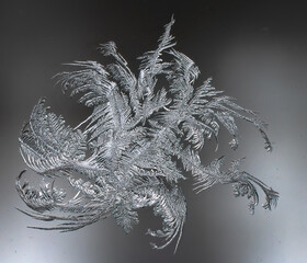 Close up image of intricate frost patterns on a window pane. The frost reaches out in different...