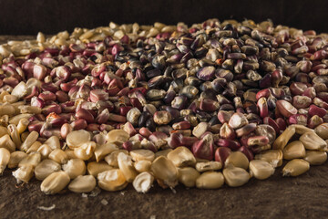 Detail of Mexican red, blue and white corn, the grains are distinguished and underneath in the background a stone.