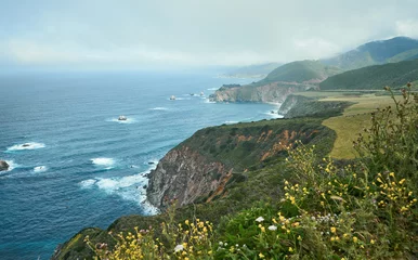 Fotobehang view of the coast of the pacific sea in california © Nora